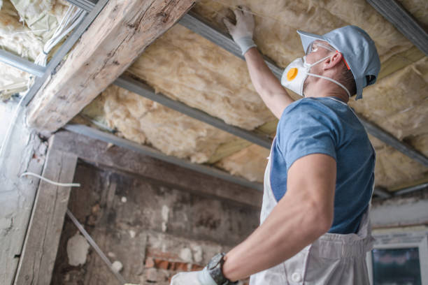 Best Insulation Maintenance and Repair in Sedalia, MO